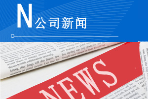 东莞铝箔袋,真空袋,真空包装袋,真空铝箔装厂家